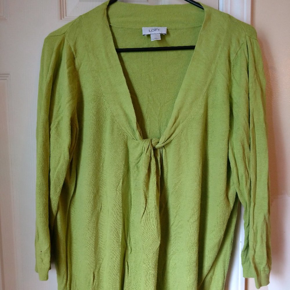 Anne Taylor Loft sweater